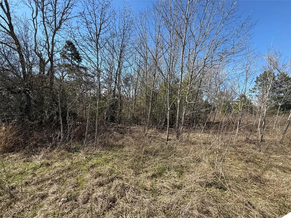 CR  1755 Grapeland, TX 75844