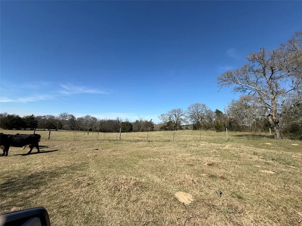 CR  1755 Grapeland, TX 75844