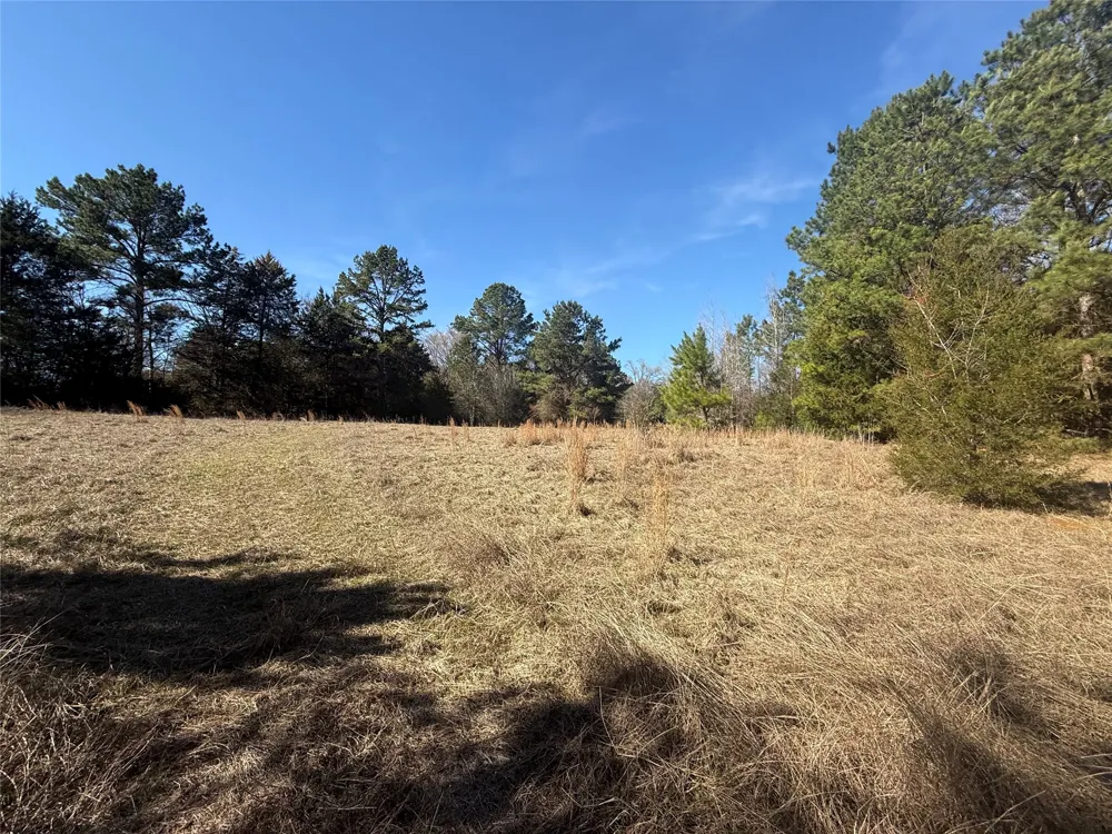CR  1755 Grapeland, TX 75844