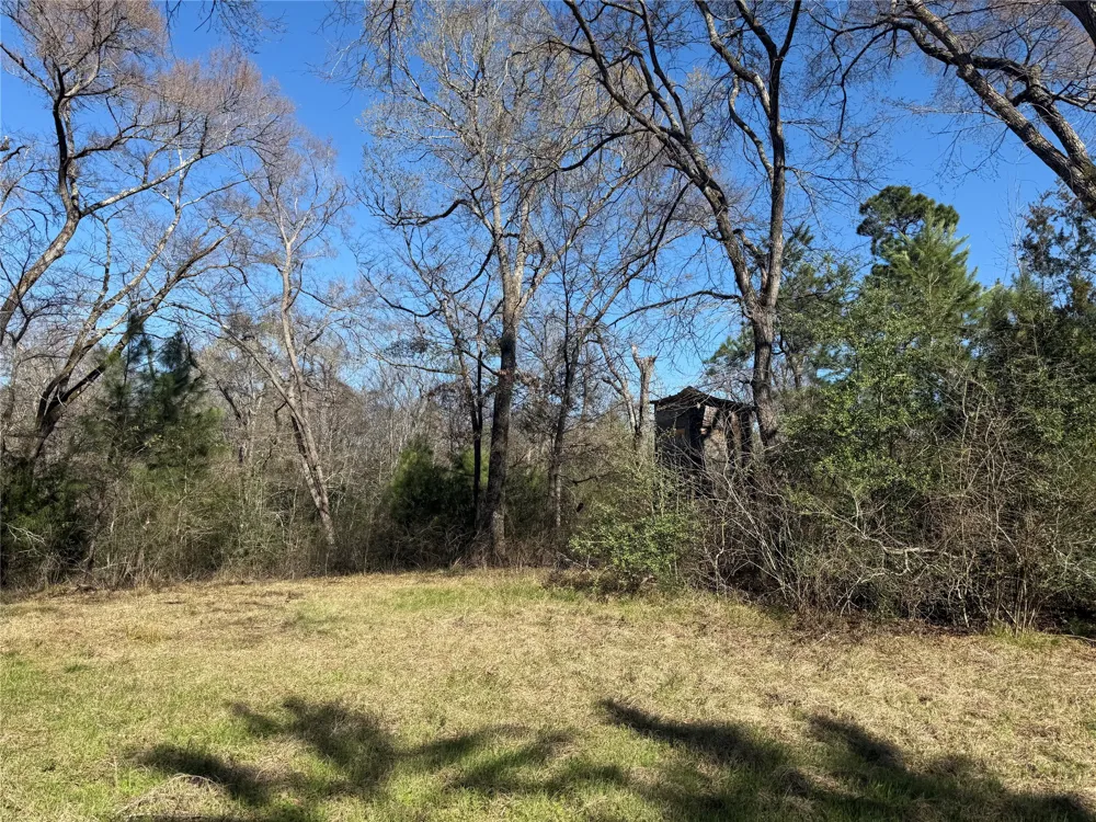 CR  1755 Grapeland, TX 75844