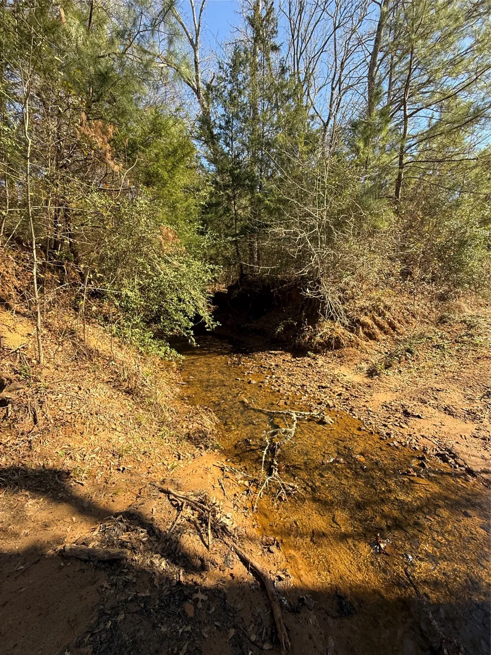 CR  1755 Grapeland, TX 75844