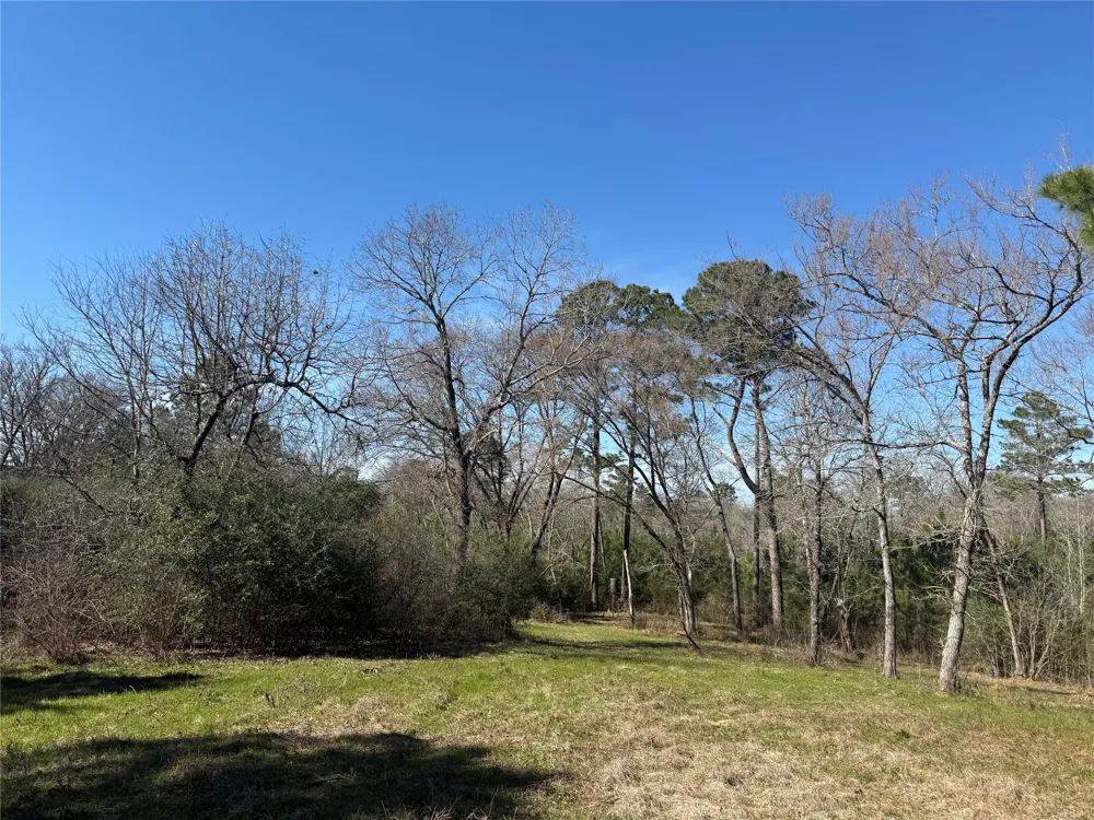 CR  1755 Grapeland, TX 75844