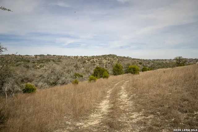 100 Stieler Valley Comfort, TX 78013