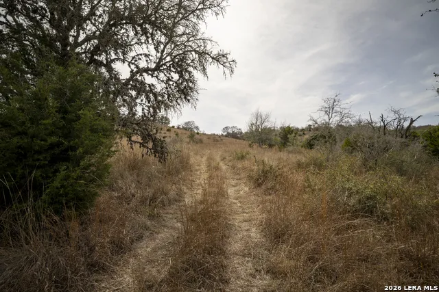 100 Stieler Valley Comfort, TX 78013