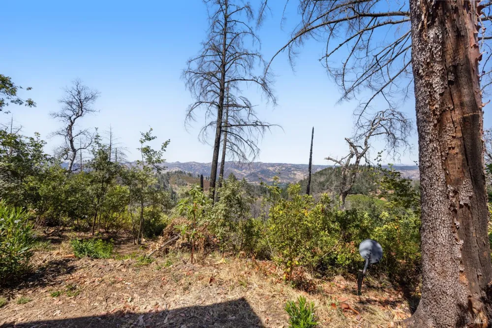 3880 Spring Mountain Road St. Helena, CA 94574