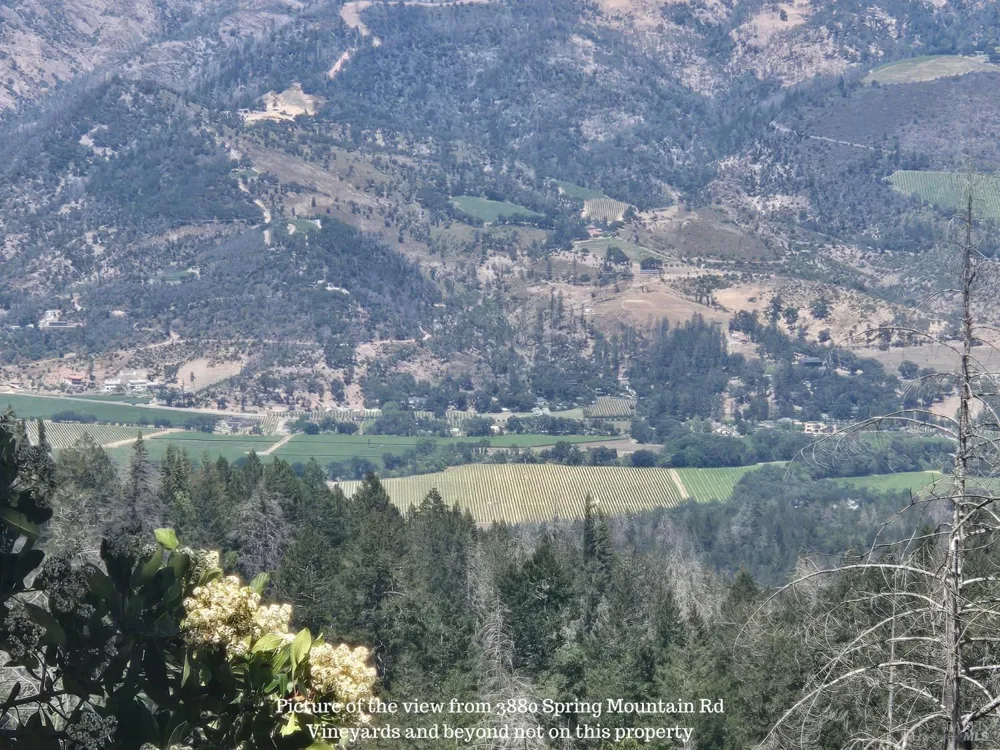 3880 Spring Mountain Road St. Helena, CA 94574