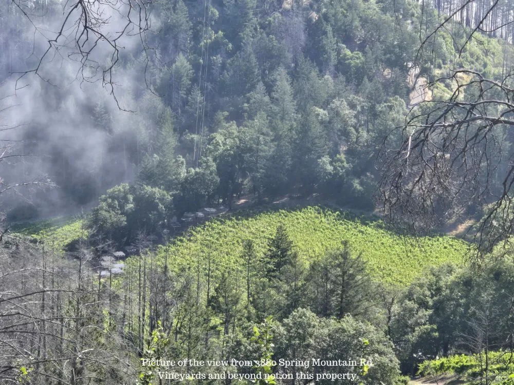3880 Spring Mountain Road St. Helena, CA 94574