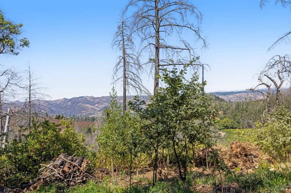 3880 Spring Mountain Road St. Helena, CA 94574