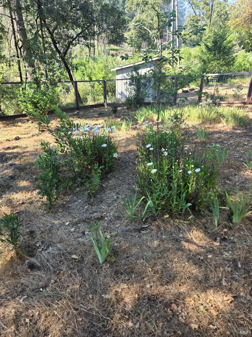 3880 Spring Mountain Road St. Helena, CA 94574