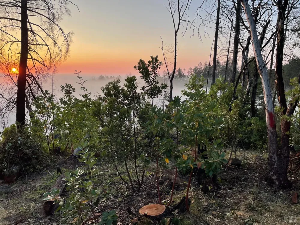 3880 Spring Mountain Road St. Helena, CA 94574