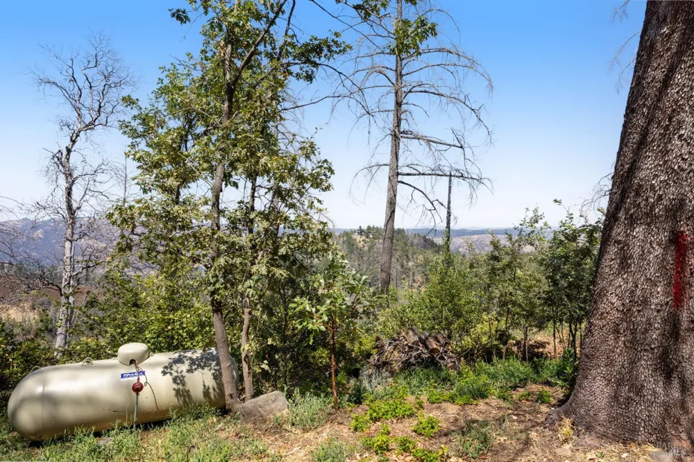 3880 Spring Mountain Road St. Helena, CA 94574
