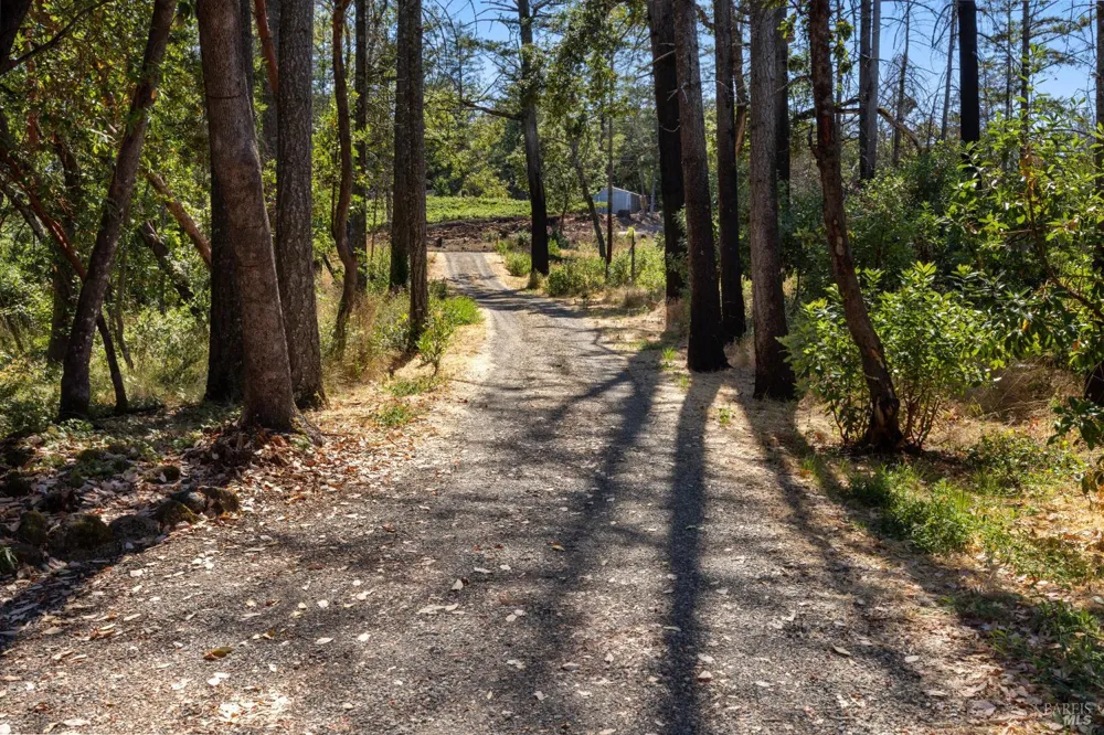 3880 Spring Mountain Road St. Helena, CA 94574