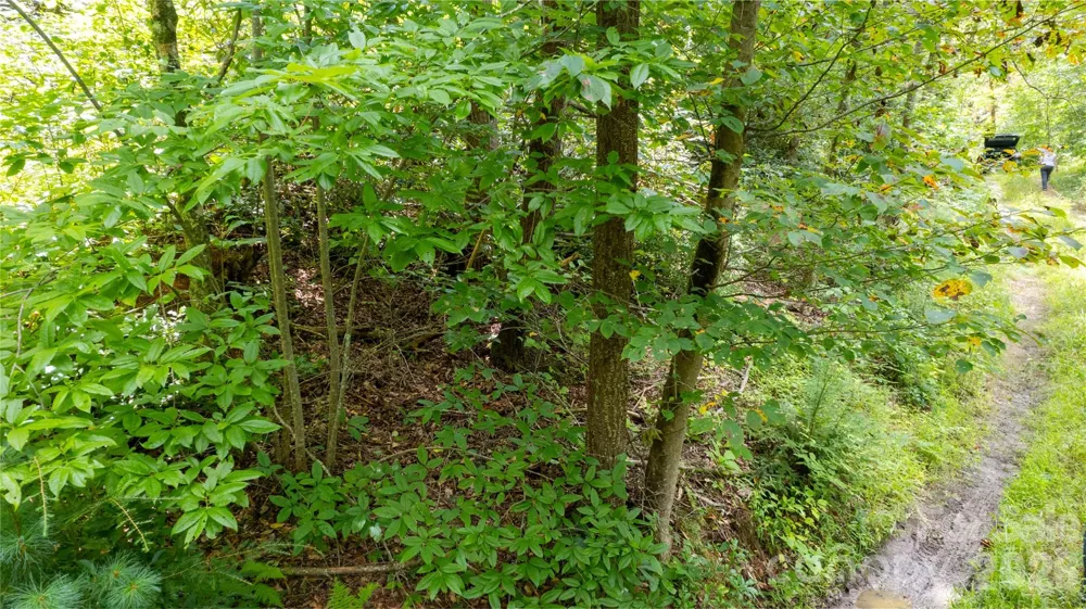 TBD Collettsville Road #9 Collettsville, NC 28611
