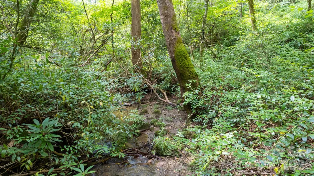TBD Collettsville Road #9 Collettsville, NC 28611
