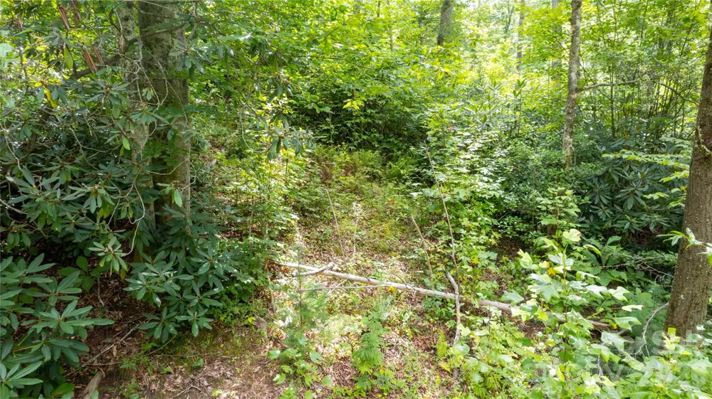 TBD Collettsville Road #9 Collettsville, NC 28611