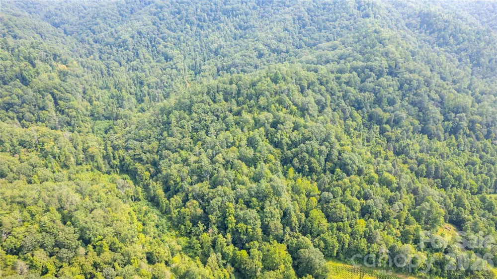 TBD Collettsville Road #14 Collettsville, NC 28611