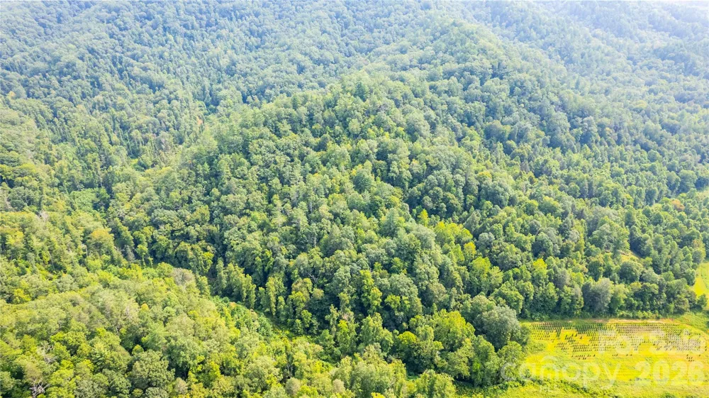 TBD Collettsville Road #14 Collettsville, NC 28611
