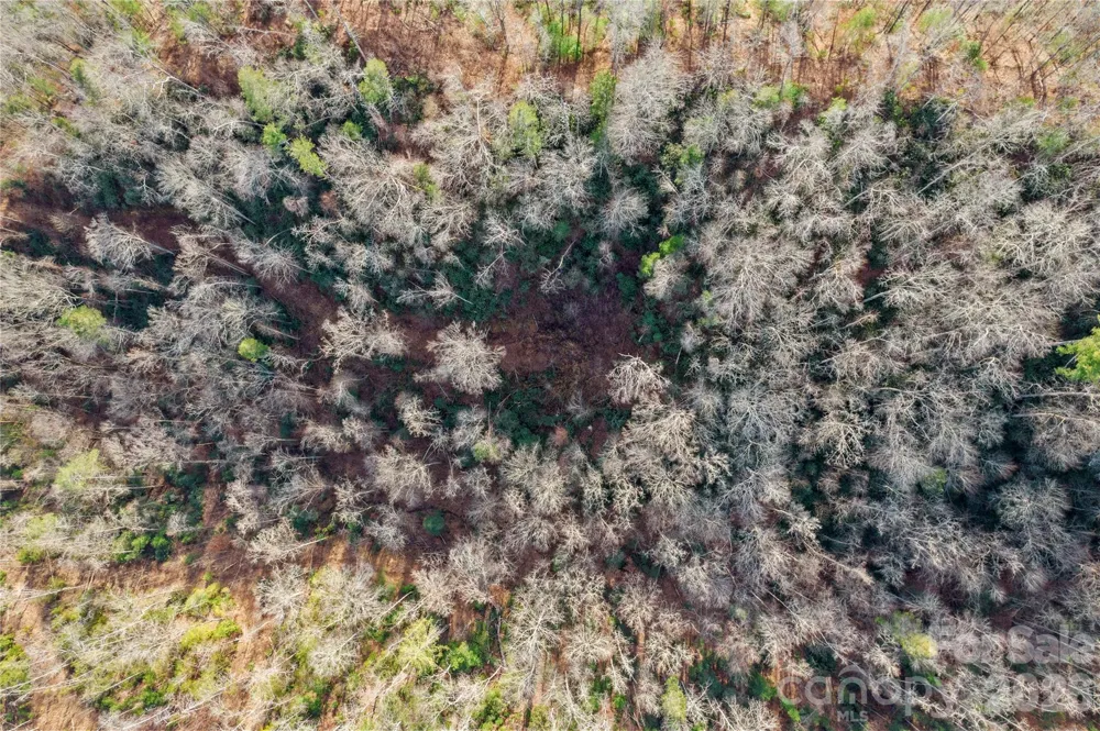 TBD Collettsville Road #3 Collettsville, NC 28611