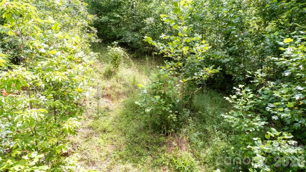 TBD Collettsville Road #12 Collettsville, NC 28611
