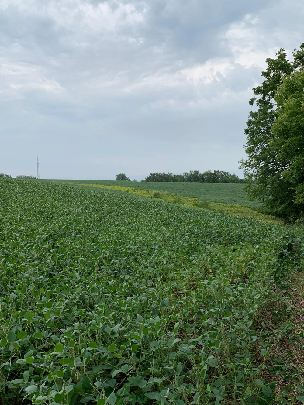tbd 728th Street Lake City, MN 55041
