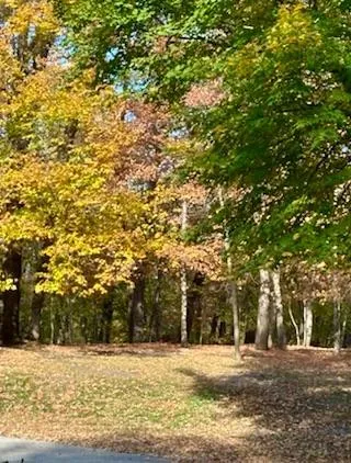 17135 200th Street Lake Park, MN 56554