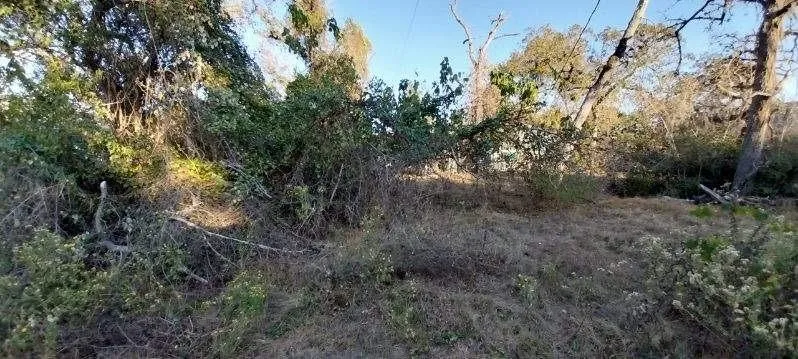 26573 Fawn Drive Hempstead, TX 77445