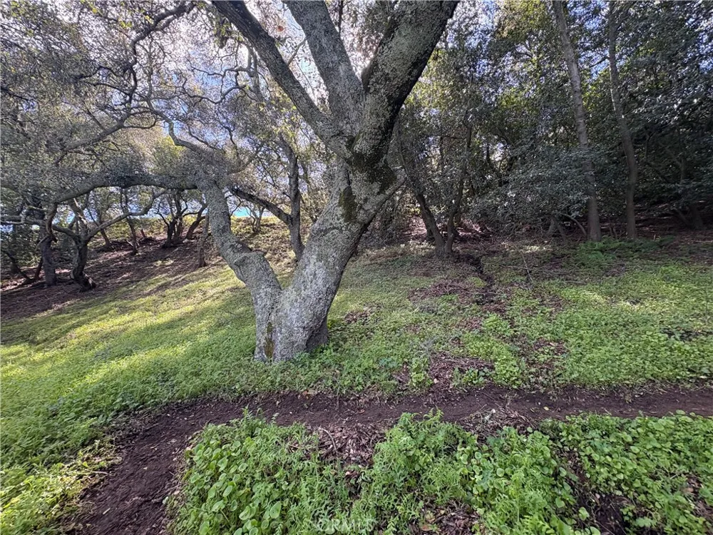 12000 San Marcos Atascadero, CA 93422