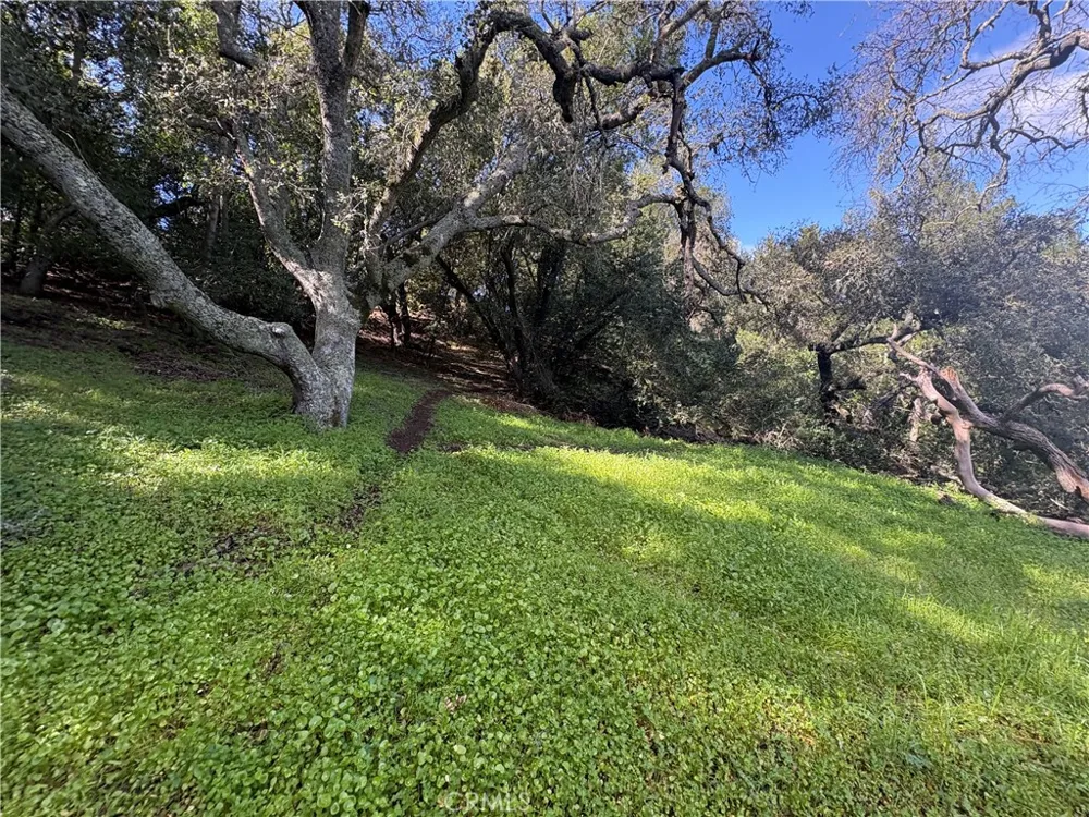 12000 San Marcos Atascadero, CA 93422