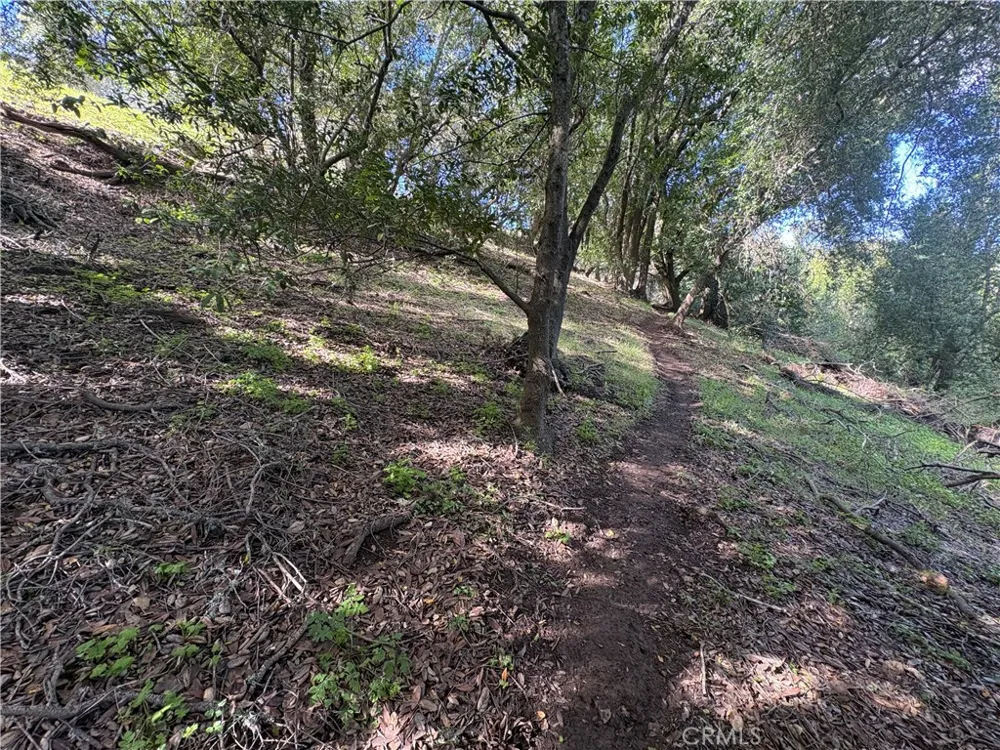 12000 San Marcos Atascadero, CA 93422