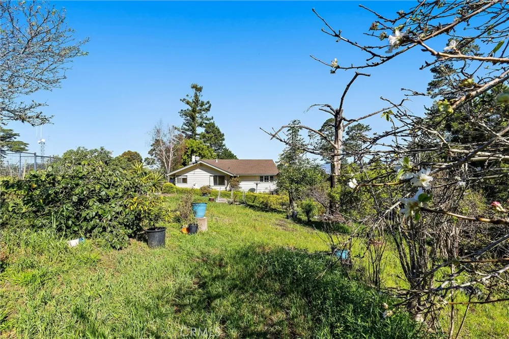 1909 Pineridge Cambria, CA 93428