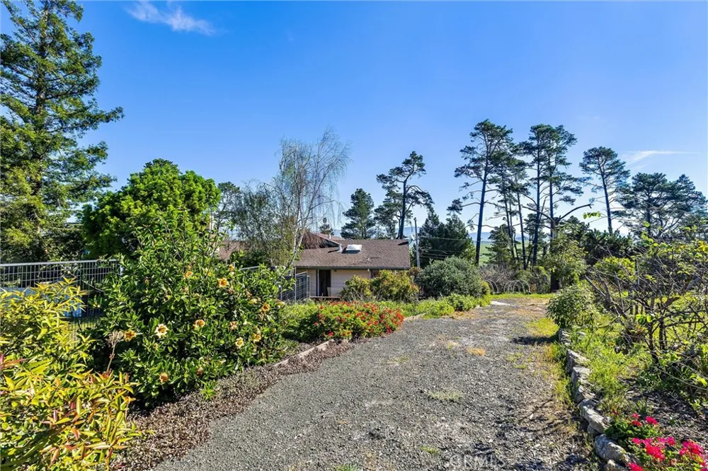 1909 Pineridge Cambria, CA 93428