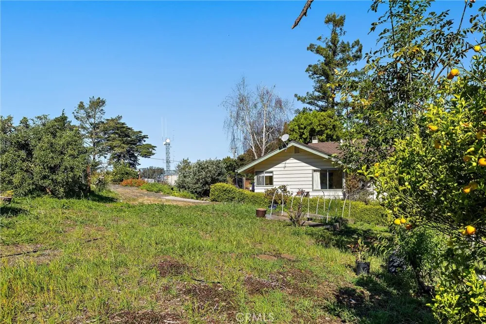 1909 Pineridge Cambria, CA 93428