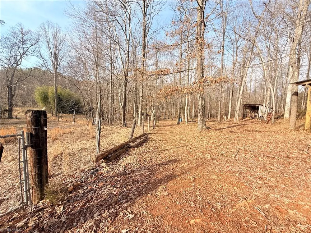 1259 Frank Joyce Road Sandy Ridge, NC 27046