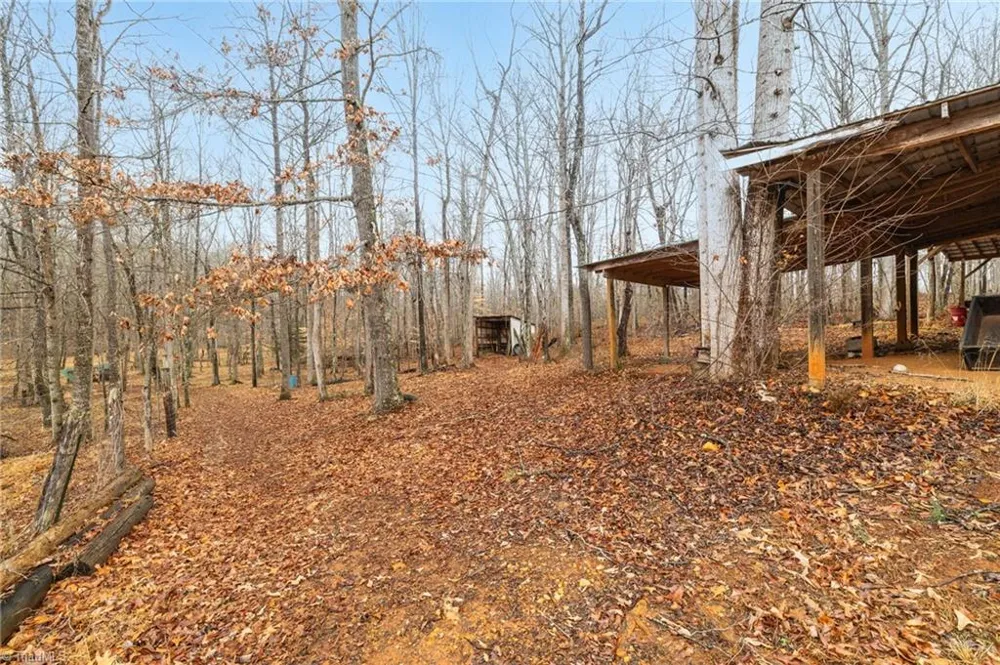 1259 Frank Joyce Road Sandy Ridge, NC 27046