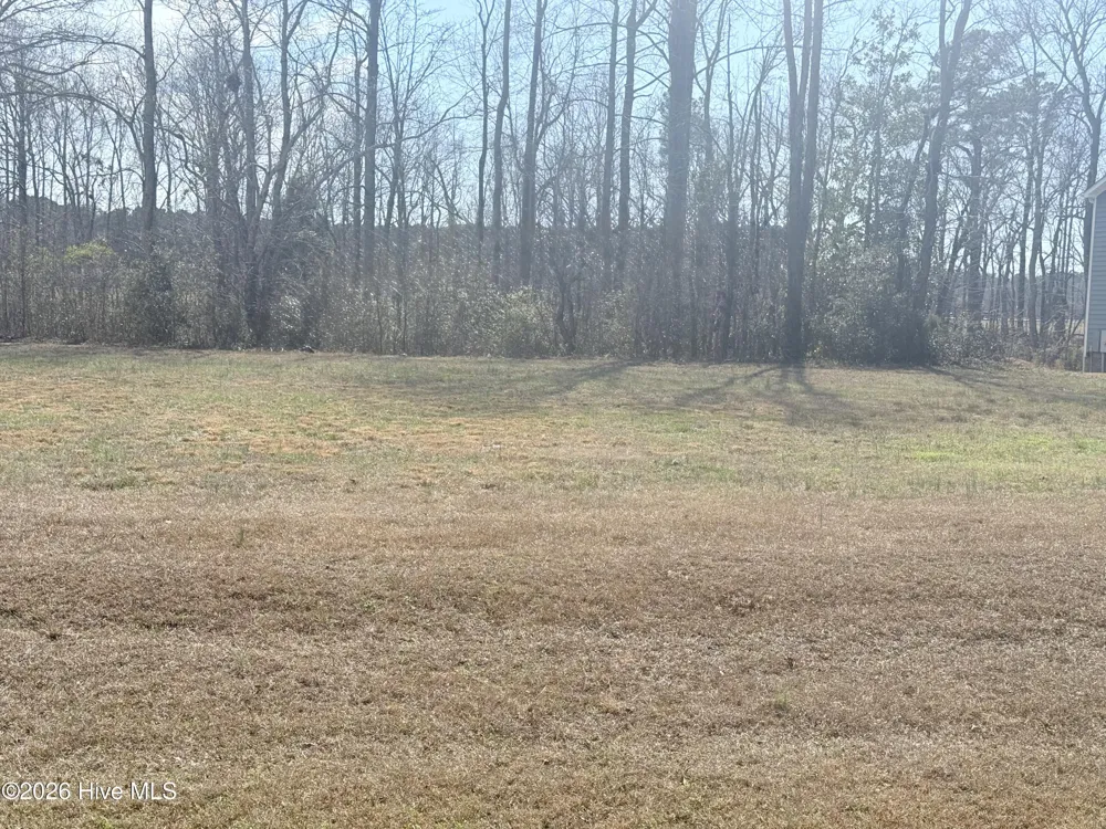 110 Bridgewater Drive S Bath, NC 27808