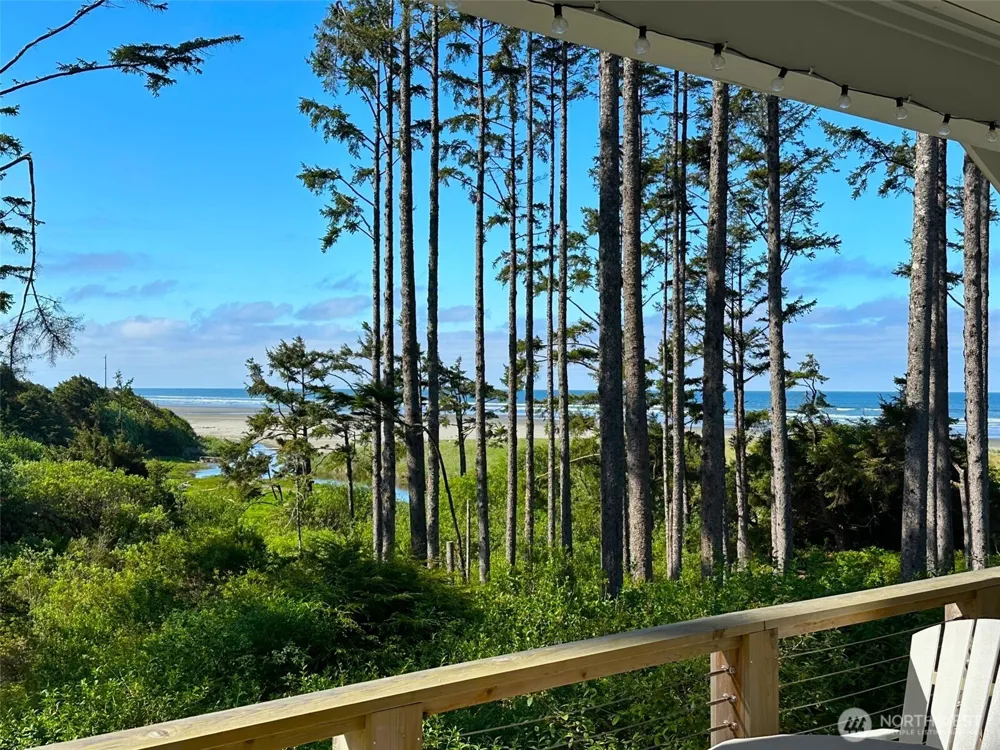 46 Seaside Lane Pacific Beach, WA 98571