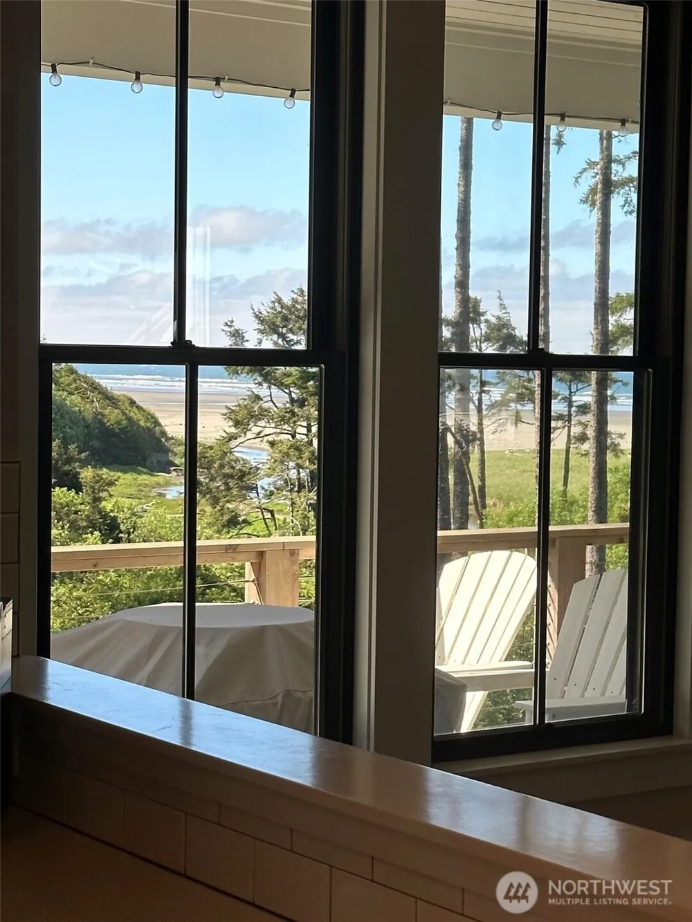 46 Seaside Lane Pacific Beach, WA 98571