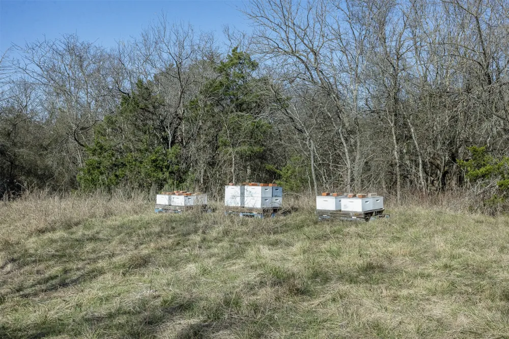 4 County Road 386 Groesbeck, TX 76642