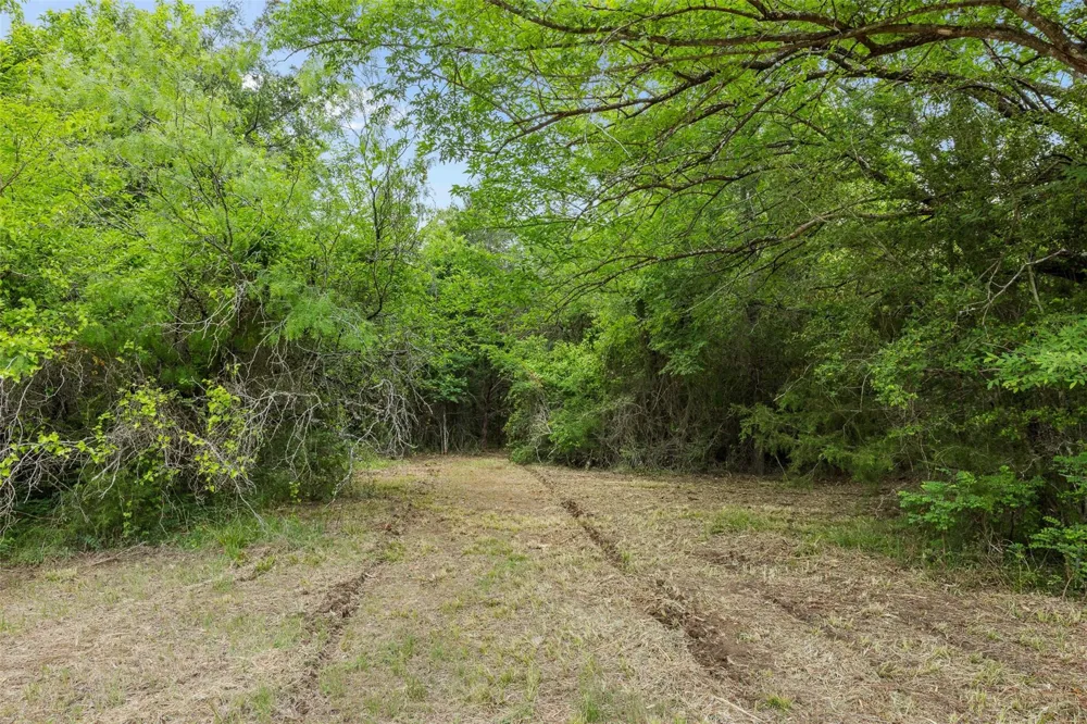 3797 County Road 328 Caldwell, TX 77836