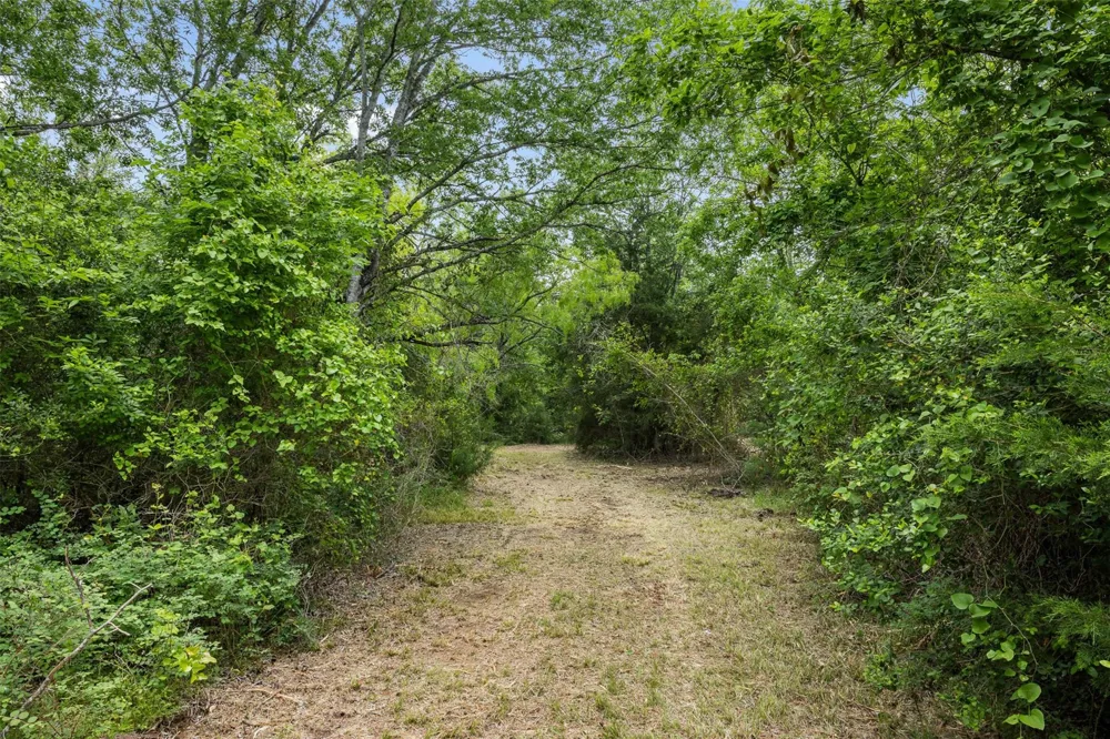 3797 County Road 328 Caldwell, TX 77836