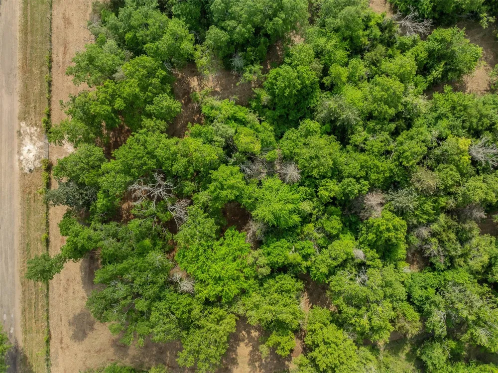 3797 County Road 328 Caldwell, TX 77836