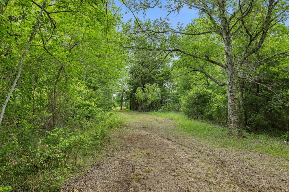 3797 County Road 328 Caldwell, TX 77836
