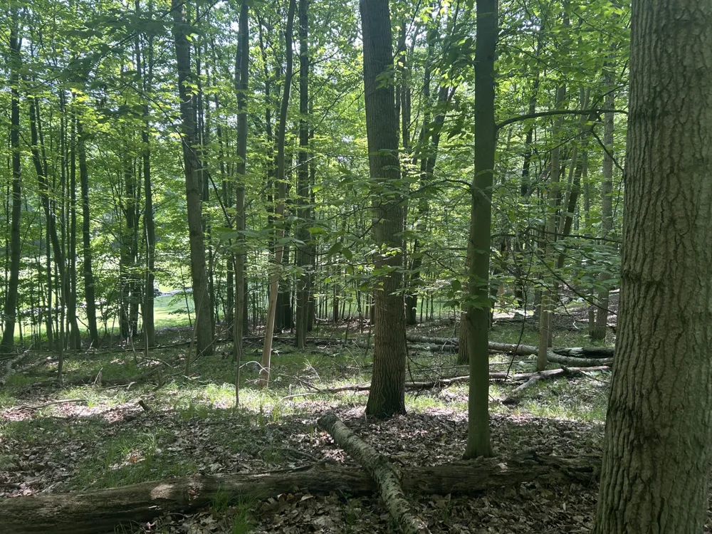 9570 Pere Marquette Drive #10 Canadian Lakes, MI 49346