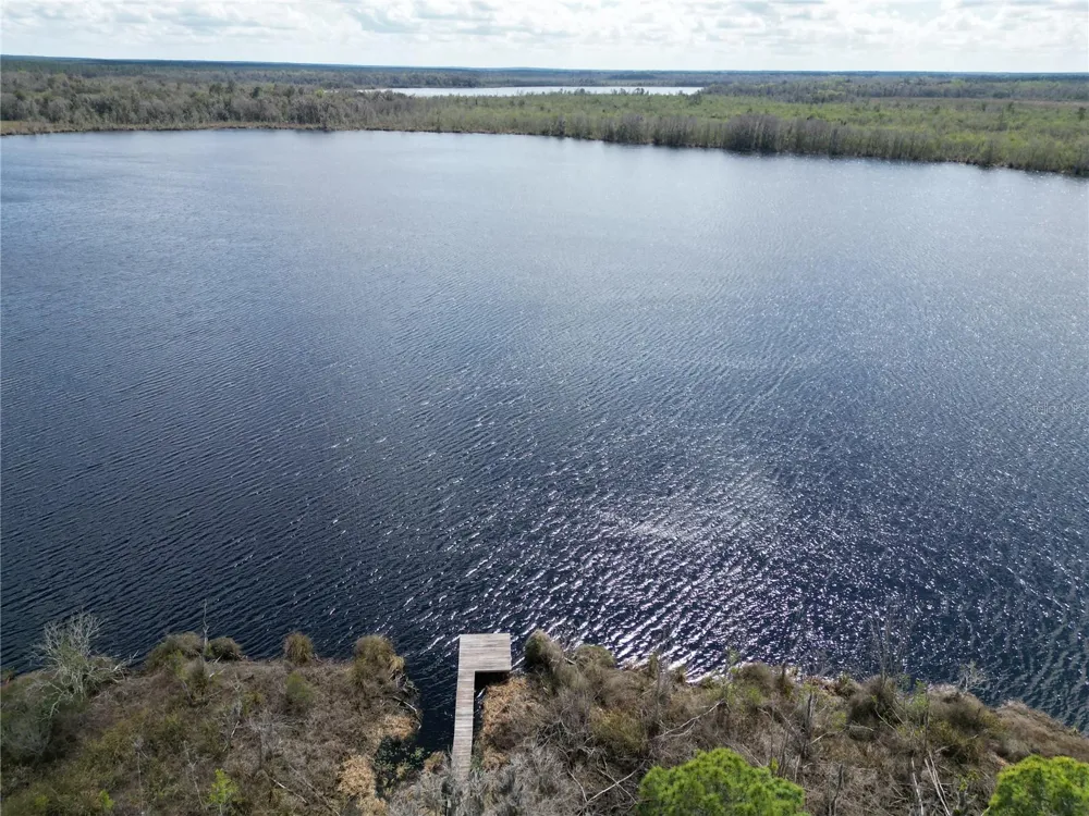 17830 NE 49TH STREET ROAD Silver Springs, FL 34488