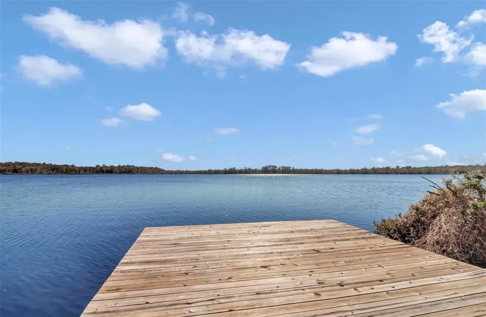 17830 NE 49TH STREET ROAD Silver Springs, FL 34488