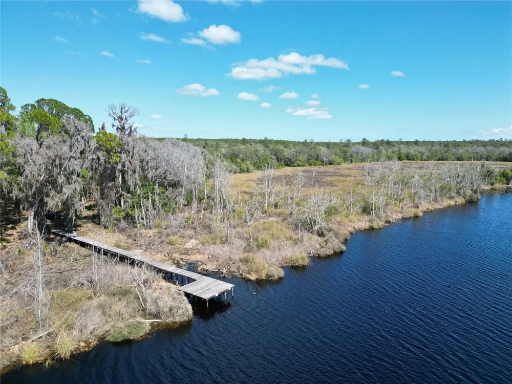 17830 NE 49TH STREET ROAD Silver Springs, FL 34488