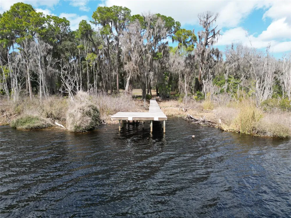 17830 NE 49TH STREET ROAD Silver Springs, FL 34488