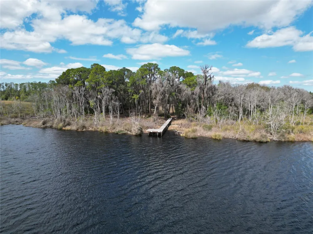 17830 NE 49TH STREET ROAD Silver Springs, FL 34488