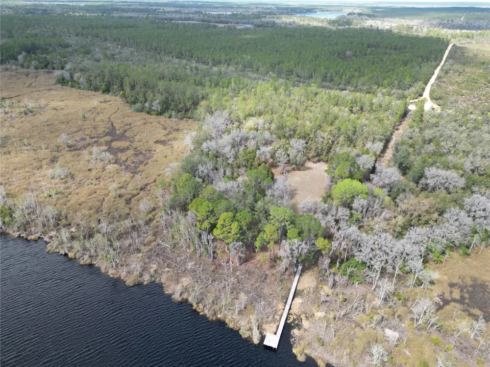 17830 NE 49TH STREET ROAD Silver Springs, FL 34488