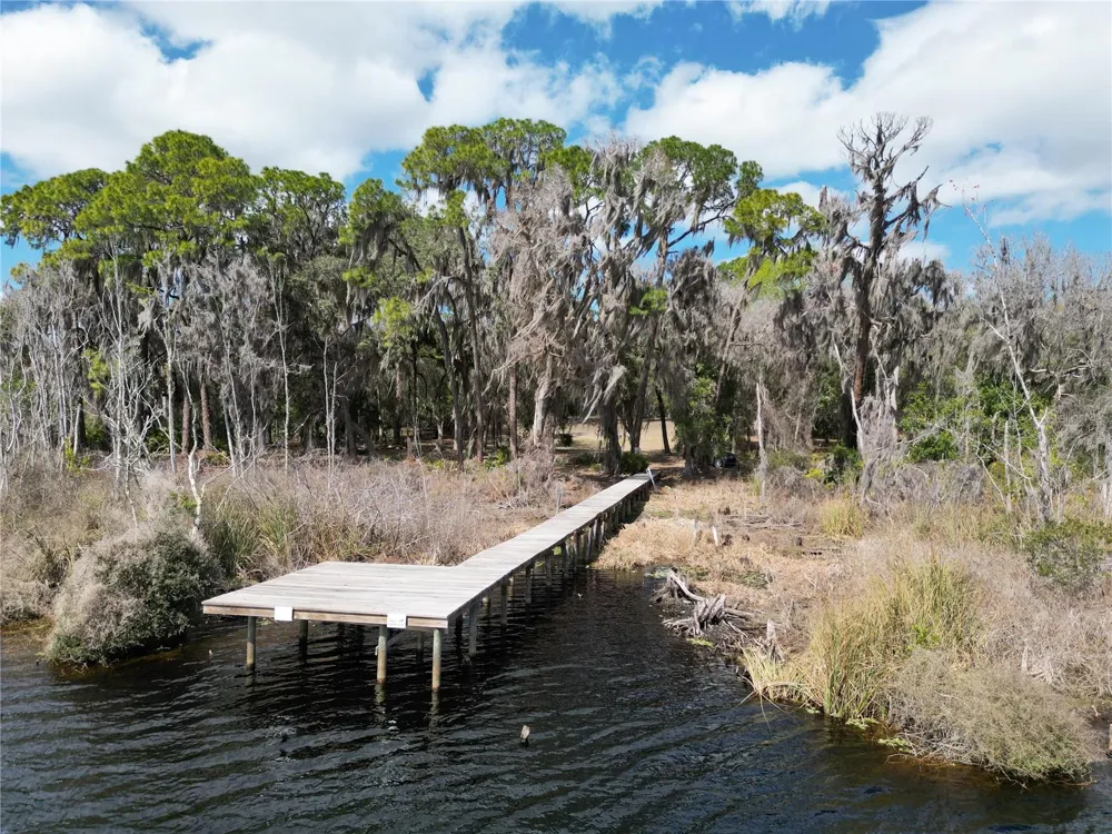 17830 NE 49TH STREET ROAD Silver Springs, FL 34488